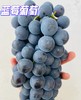 云南建水夏黑葡萄 商品缩略图1