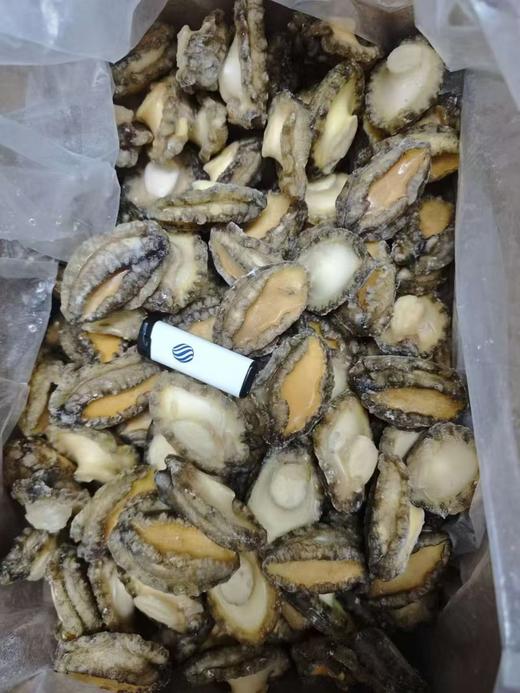 10头液氮 原壳鲍鱼 去肚 商品图1