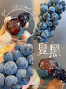 云南建水夏黑葡萄 商品缩略图7