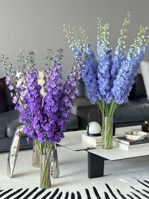 A级精品大飞燕（5只/扎装） 商品图1