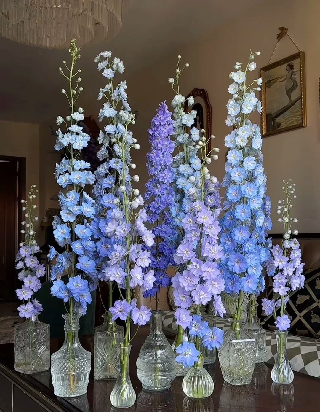 A级精品大飞燕（5只/扎装）