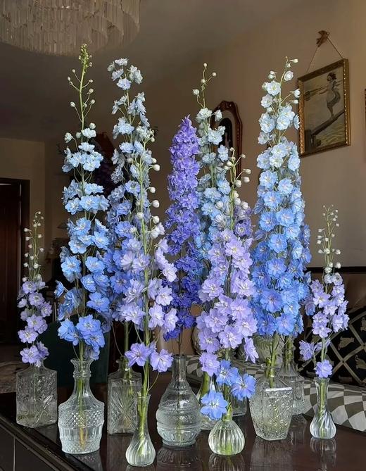 A级精品大飞燕（5只/扎装） 商品图0