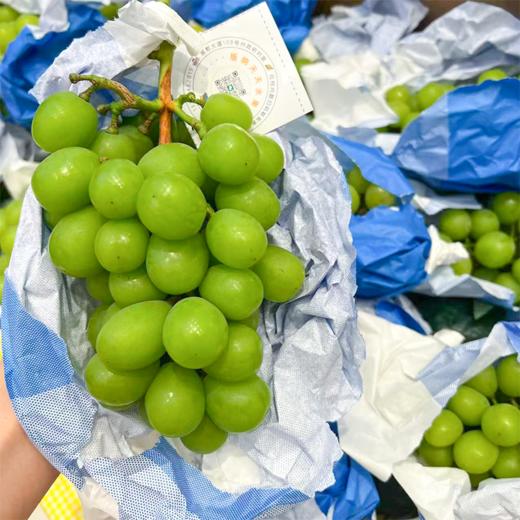 阳光玫瑰青提   商品图0