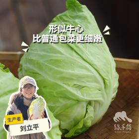 生态牛心甘蓝 | 绿家自产* Eco-Beef cabbage | In-House Production