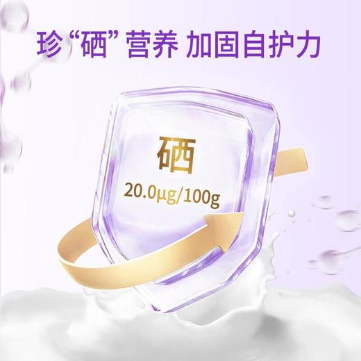 珍澳中老年配方奶粉800g 商品图1