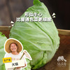 生态牛心甘蓝 | 绿家自产* Eco-Beef cabbage | Self-production 商品缩略图0