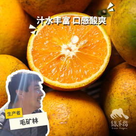 生态夏橙（偏酸） | 合作生产 * Ecological Summer Orange | Partner Production
