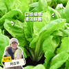 生态快菜 | 绿家自产*Ecological shortorder | In-House Production 商品缩略图0