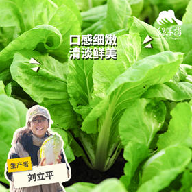 生态快菜 | 绿家自产*Ecological shortorder | In-House Production