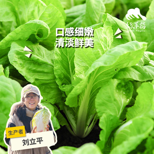 生态快菜 | 绿家自产*Ecological shortorder | In-House Production 商品图0