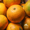生态夏橙（偏酸） | 合作生产 * Ecological Summer Orange | Partner Production 商品缩略图2