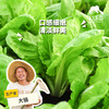 生态快菜 | 绿家自产*Ecological shortorder | Self-production 商品缩略图0