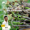 野生蕨菜| 绿家自产* Wild fiddlehead | Selfoduction 商品缩略图0