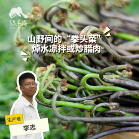 野生蕨菜| 绿家自产* Wild fiddlehead | Selfoduction