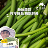 生态山东蒜薹/蒜苔（赠送半斤/1斤） | 合作生产*Eco-young garlic shoot | Coproduction 商品缩略图0