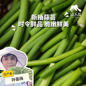 生态山东蒜薹/蒜苔（赠送半斤/1斤） | 合作生产*Eco-young garlic shoot | Coproduction