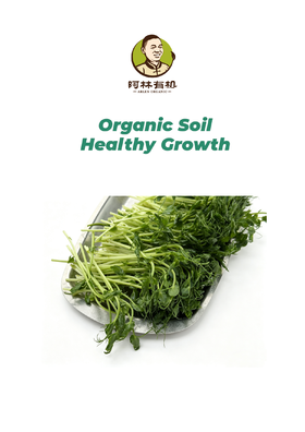 生态麻豌豆苗250g