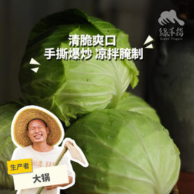 生态包菜 | 绿家自产*ecological cabbage | Self-production