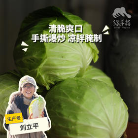 生态包菜 | 绿家自产*Ecological cabbage | In-House Production