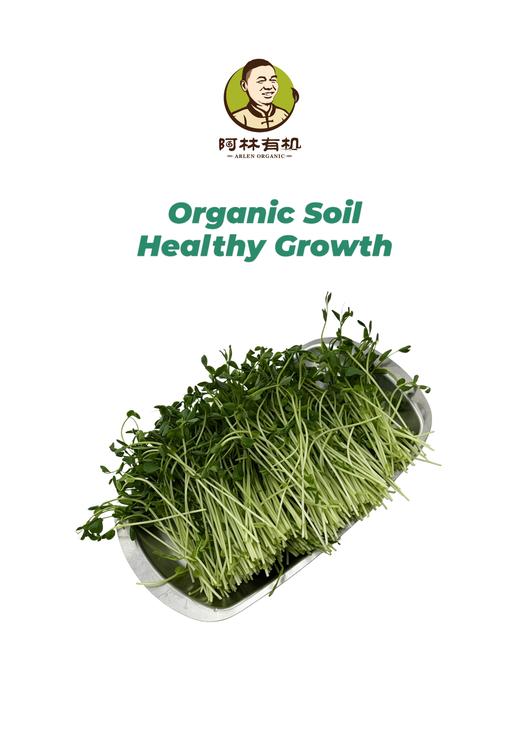 生态紫豌豆苗250g 商品图0