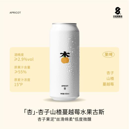 沙坡尾酿造杏 杏子山楂蔓越莓水果古斯精酿啤酒 500ml 商品图2