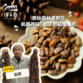 野生松子| 合作生产 *Wild pine nuts| Partner Production