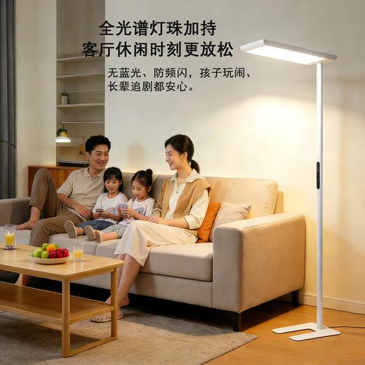 思坦库全光谱护眼落地灯（基础款）STK-01-JX02 商品图5