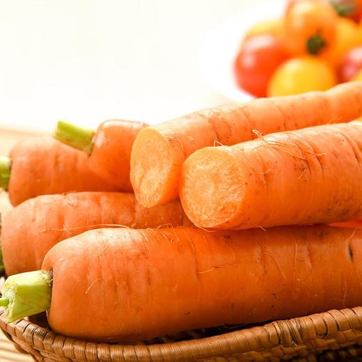 水果胡萝卜２５０ｇ 商品图3