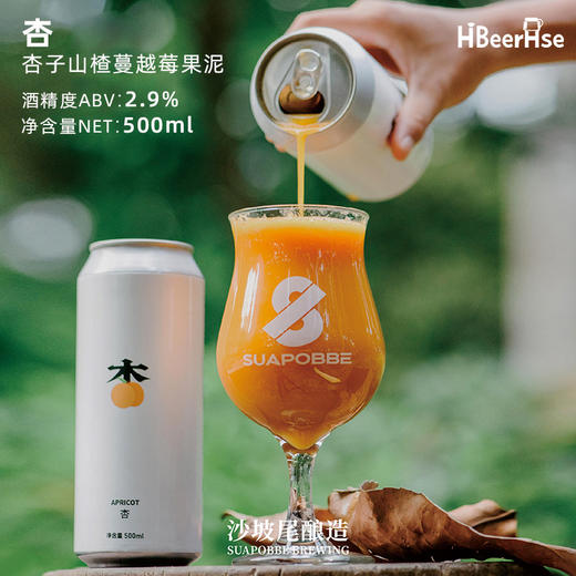 沙坡尾 冰淇淋果味果泥微醺组合装 500ml*6罐 商品图3