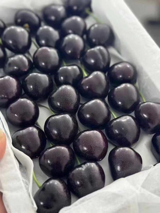 俄罗斯八号 商品图5