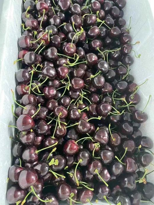 俄罗斯八号 商品图3