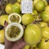 黄金百香果 海南空运西番莲 商品缩略图2