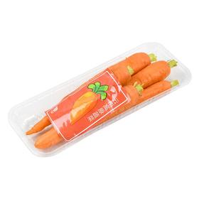水果胡萝卜２５０ｇ