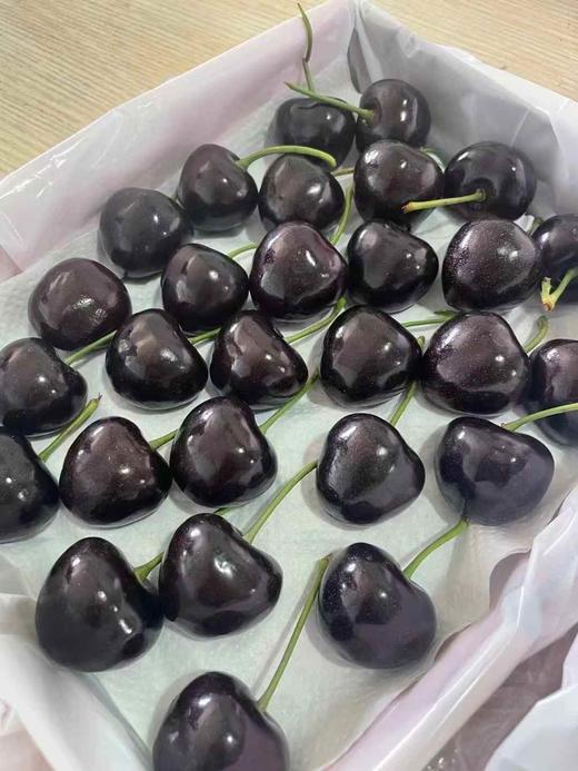 俄罗斯八号 商品图2