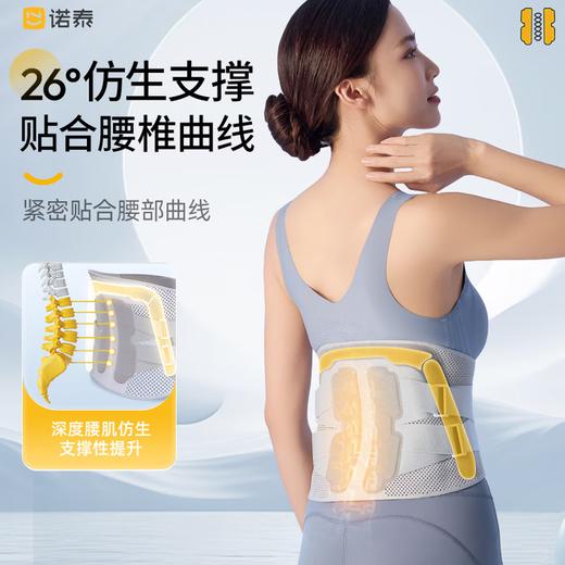 诺泰(腰部)固定带F06-3 商品图3