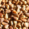 野生松子| 合作生产 *Wild pine nuts| Partner Production 商品缩略图1