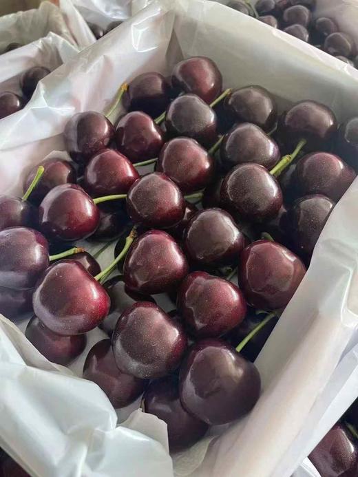 俄罗斯八号 商品图6