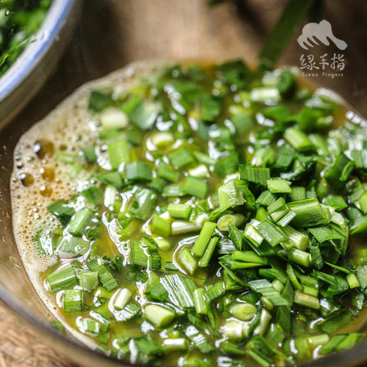 生态韭菜（河南）| 合作生产*​Ecological Chinese chives| Partner Production 商品图1