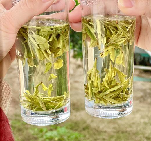 樱花+龙井 商品图8