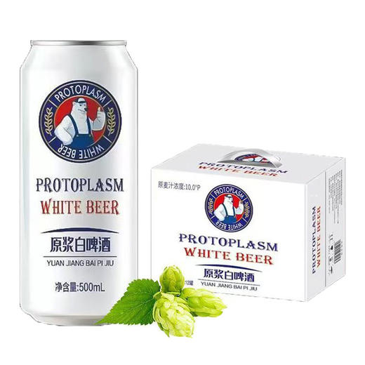 [啤酒]杰尼熊原浆白啤10度500mlx12听 商品图0