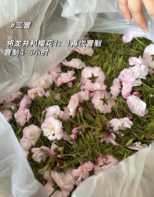 樱花+龙井 商品图3