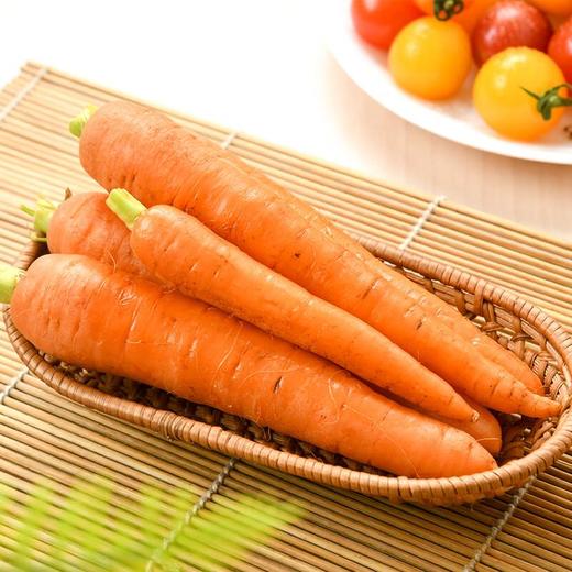 水果胡萝卜２５０ｇ 商品图2