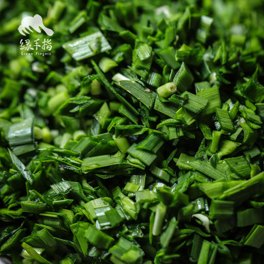 生态韭菜（河南）| 合作生产*​Ecological Chinese chives| Partner Production 商品图3
