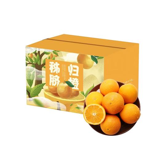 湖北秭归伦晚橙礼盒4.5kg 商品图0