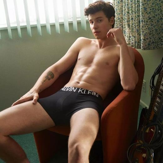 Calvin klein 1981系列男士平角3条装NB1702 商品图0