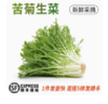 苦菊生菜/1斤 商品缩略图0