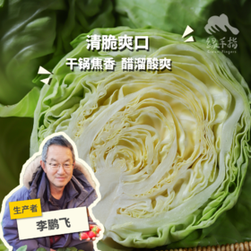 生态河北圆白菜（包菜） | 合作生产*Ecological Cabbage | Coproducted
