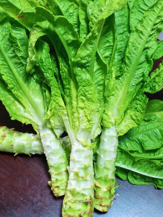 有机蔬菜包，水果甘蓝/圆生菜/大娃娃菜/莴笋 商品图4