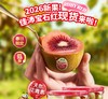 2026年新果！佳沛宝石红奇异果 商品缩略图0