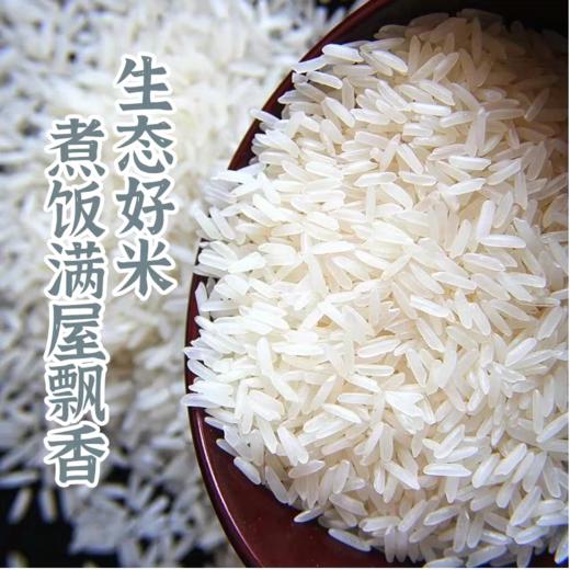 良辰福稻优选丝苗米  4kg 商品图2